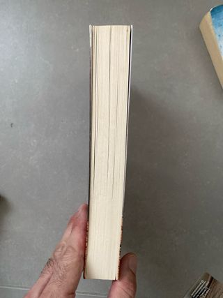 El día que se perdió la cordura/amor