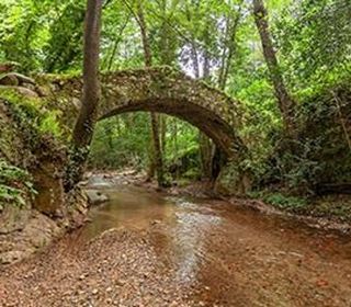 Piso en venta en Arbúcies