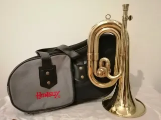 Corneta Honsuy Do Re con funda