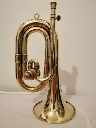 Corneta Honsuy Do Re con funda