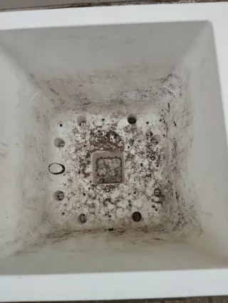 Jardinera Elho Blanca Cubo