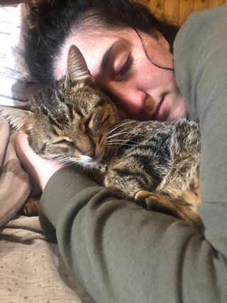 Cuidadora de gatos. Catsitter.