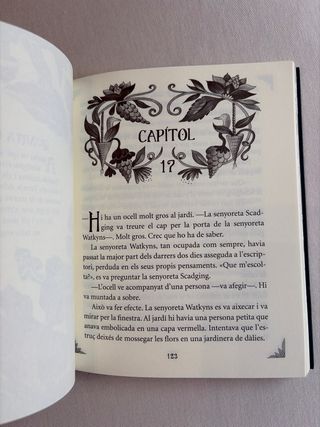 El meravellós país dels snergs