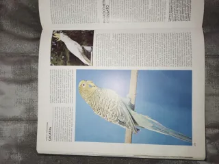 Il grande libro degli animali - volume 2