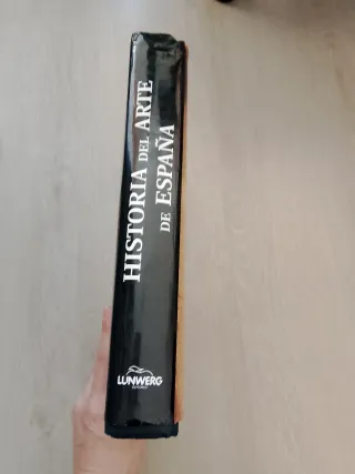 Historia del arte de España, editores Lunwerg.