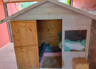Casa de madera para perros