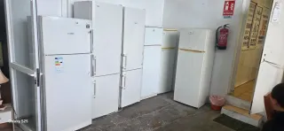 Neveras blancas Bosch y otras marcas