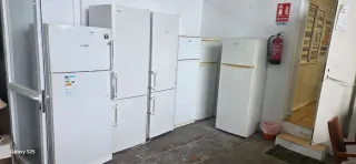 Neveras blancas Bosch y otras marcas