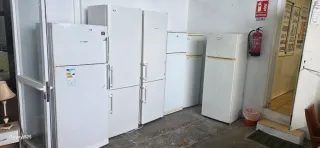Neveras blancas Bosch y otras marcas