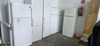 Neveras blancas Bosch y otras marcas