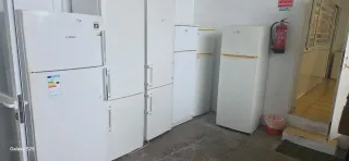 Neveras blancas Bosch y otras marcas