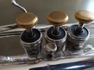 Trompeta Stomvi Élite Do.  VENTA O CAMBIO!