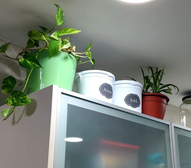 Pack 25 Cubos 6.3L Alimentarios Nuevos