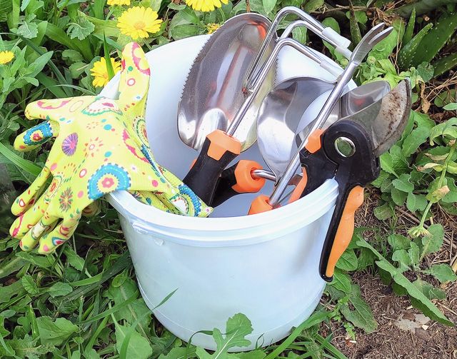 Pack 25 Cubos 6.3L Alimentarios Nuevos