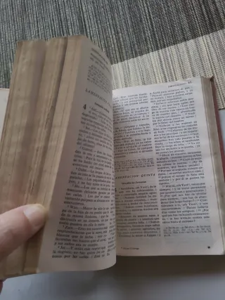 Sagrada Biblia: versión directa de las lenguas ori