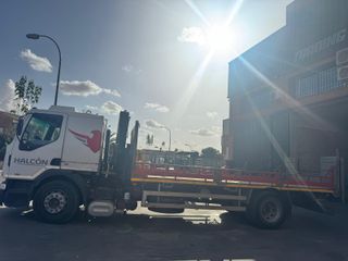 Camión Grúa Renault 4x2 340