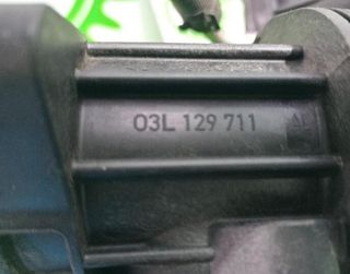 Volkswagen 03l129711 colector caddy 1.6 tdi 115304