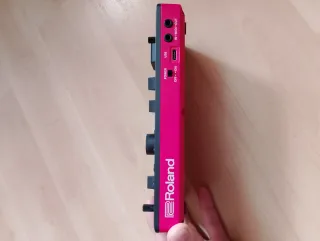 Roland Voice Tweaker E-4 Pedal Efectos Voz