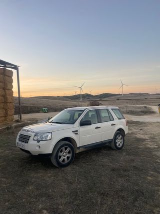 Land Rover Freelander 2010