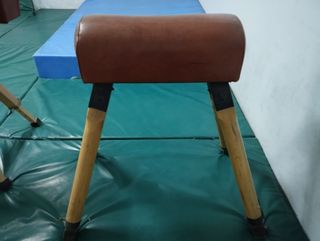 2 Pantallas Fujitsu Siemens