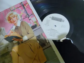 Vinilos LP ESPAÑOLES POP ROCK INDIE SYNTH POP