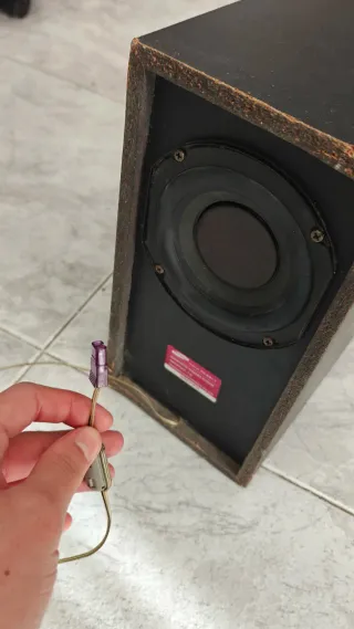 Subwoofer Samsung Negro