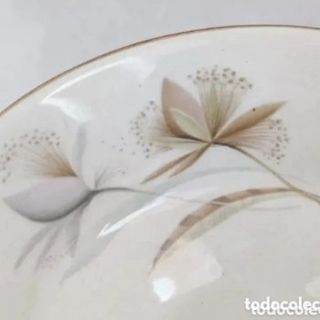 Juego Consomé Pontesa Ironstone años 60