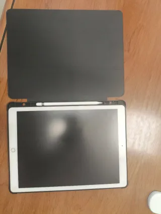 Apple iPad 12.9  4GB Ram y 256Gb