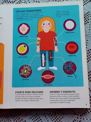 El cuerpo humano La lupa mágica