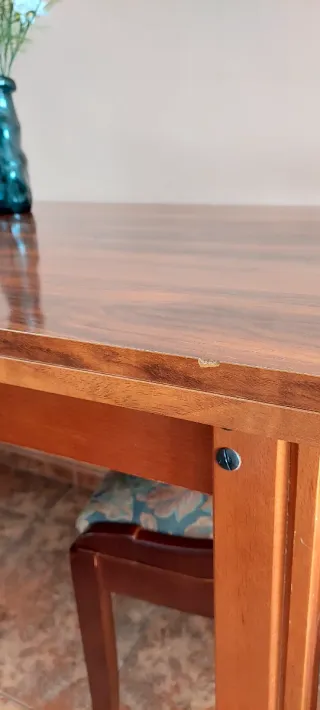 Mesa de comedor con 6 sillas