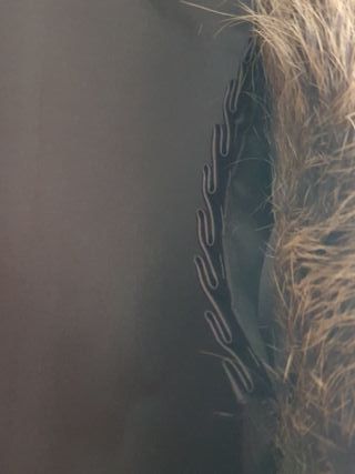 Abrigo de piel de zorro