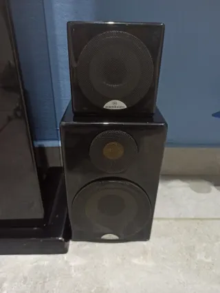 Monitor Audio Radius 7 Altavoces.