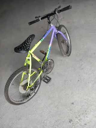 Bicicleta Montaña BTT Morada/Verde