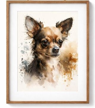 Retratos de tu mascota