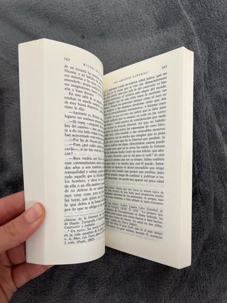 Novelas ejemplares, I