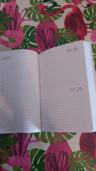 Agenda 2025-2026 da Settembre 2025 ad Agosto 2026