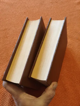 El ingenioso hidalgo Don Quijote de la Mancha