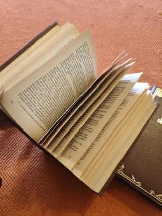 El ingenioso hidalgo Don Quijote de la Mancha