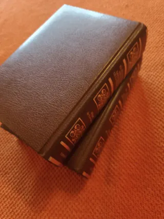 El ingenioso hidalgo Don Quijote de la Mancha