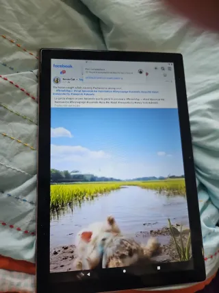 Tablet OANC Negra y Multicolor