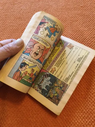 The Jughead Jones Digest Magazine #63