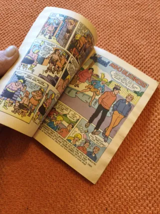 The Jughead Jones Digest Magazine #63