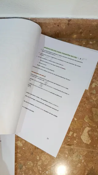 Tema 7 (UA) logopedia, anatomía, 2025/206