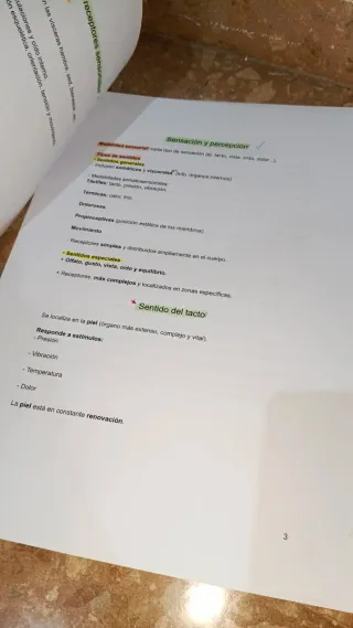 Tema 7 (UA) logopedia, anatomía, 2025/206