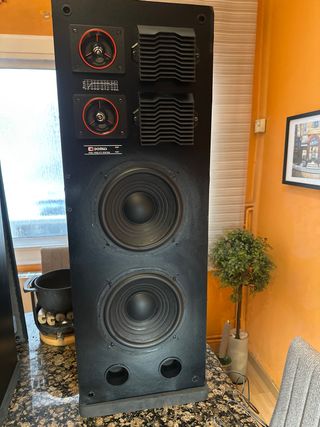 Altavoces HIFI Domus D-345 Negros de 4 vias