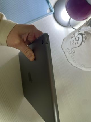 Apple iPad 6ta Gen Plata
