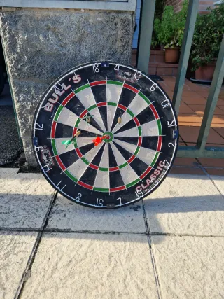 Diana de dardos profesional