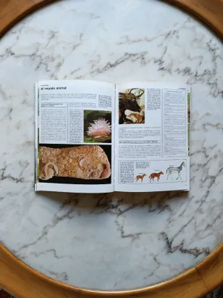 El hombre y su mundo - Caja Ahorros Vizcaína BBK