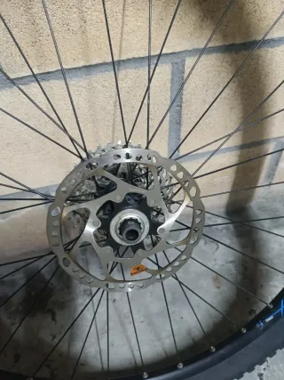 Ruedas MTB 29 Alexrims