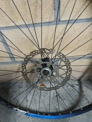 Ruedas MTB 29 Alexrims